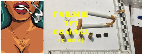 индика Аркадак