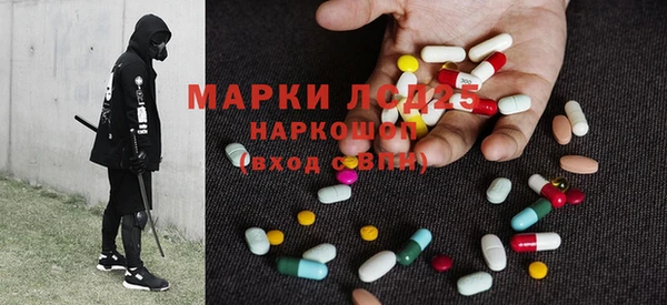 индика Аркадак