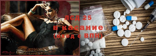 индика Аркадак
