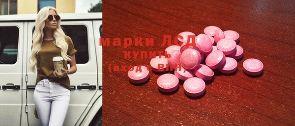 индика Аркадак