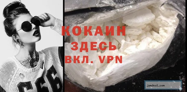 индика Аркадак