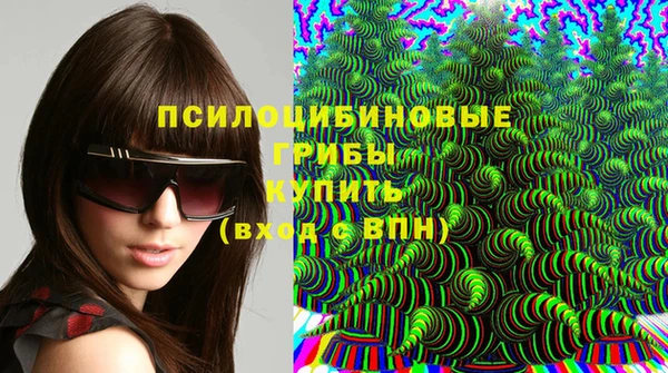 apvp Алзамай